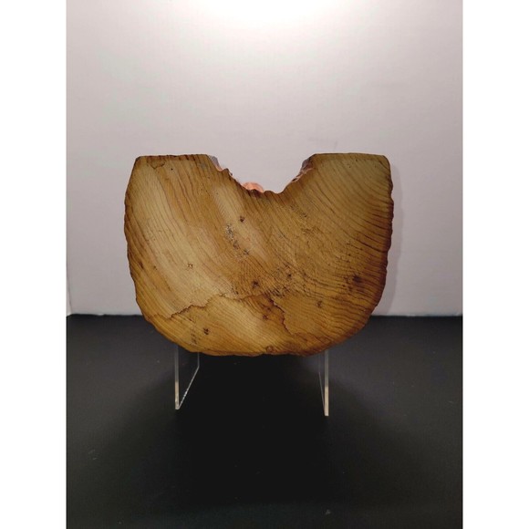 Vintage Hand Carved Bear Solid Wood Marble Eyes Medium 12" Monterey CA Wharf - Picture 15 of 16